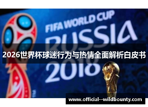 2026世界杯球迷行为与热情全面解析白皮书